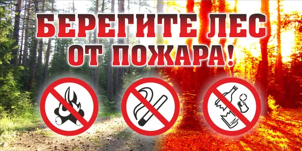 Пожарная безопасность в лесу.